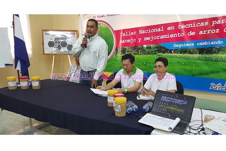 Técnicos del Inta aprenden nuevas técnicas para el manejo y mejoramiento de la semilla en arroz secano